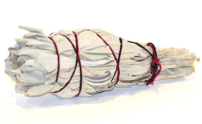 Sage Bundle - 4"